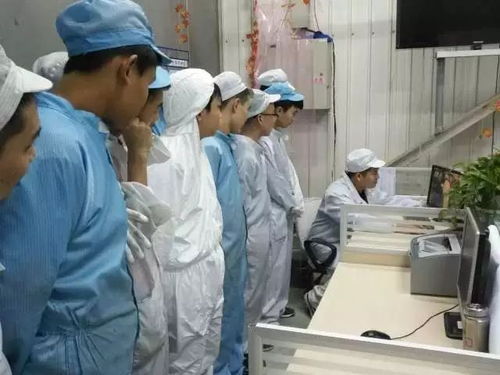 涂裝檢驗技能知識培訓(xùn)與特種作業(yè)人員安全技術(shù)培訓(xùn)